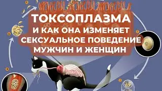 Токсоплазма и как она изменяет сексуальное поведение мужчин и женщин