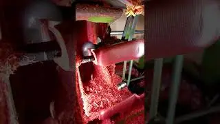 Inside the Factory: Crafting High-Quality Red Plastic Shoe Lasts!