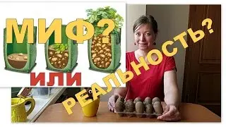 Картошка в мешках - МИФ?! // Выращивание картофеля в мешках 1 / Potatoes in bags 1