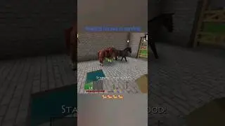 feeding horse's in survival|| mini block craft || #kbcraft