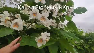Евпатория сегодня. Крым 2024.