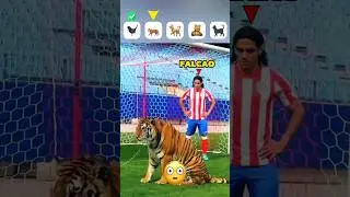 Rare Animals Moments in Football + Tiger 🐯