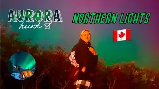 AURORA BOREALIS - The Northern Lights in Vancouver, Canada 🇨🇦