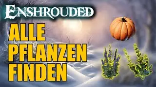 Die Pflanzen aus PATCH 4 finden! Enshrouded - Enzian, Eisenhut, Kürbis