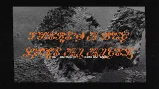 Mitski - Bug Like an Angel (Portuguese Lyric Video)