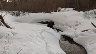 Stream on the land