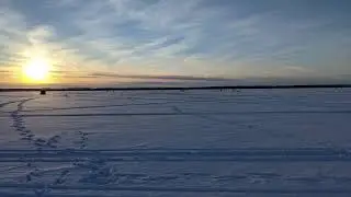 Lake Since, Cooks bay, Ice report, Jan 30th, 2021