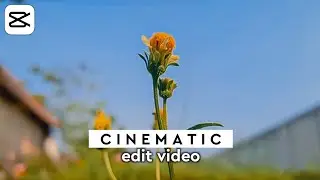 Cara Edit Video Cinematic Di Android - Capcut Tutorial