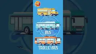 Types of street vehicles Bus Trolleybus 