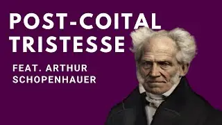 Why You Feel Sad after Sex: Post-coital Tristesse Explained (feat. Arthur Schopenhauer)