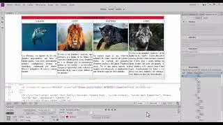 ✍ CREAR TABLAS CON DREAMWEAVER