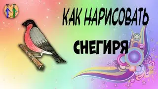 Как нарисовать снегиря. Онлайн-школа рисования 