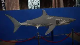 'The DEEP' LEGO Underwater Exhibition Chester Cathedral (15th August 2019)
