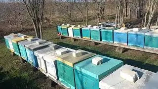 Наступил 2024 год, зимы как не было, так и нет