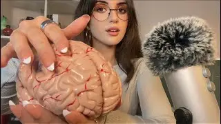 ASMR for deep sleep 💤