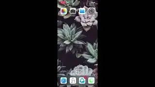 iPhone Разрешение на камеру и микрофон