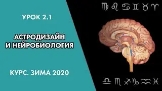 #Астродизайн