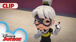 The Maltese Kitten 🐱 | Marvels Spidey and his Amazing Friends | @disneyjunior