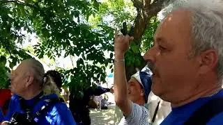 #Кочетовская#ФестивальЗакруткинскаяВесна2019#АнсамбльМетелица