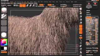 ZBrush 4R2b Basics of FiberMesh