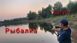 Рыбалка на карася август 2021!Ловим крупного карася на поплавок летом!