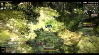 Сбор как заработок в Black Desert ч.1