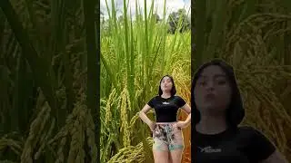 Dj Viral Tiktok Versi Cewek Gemoyy😱