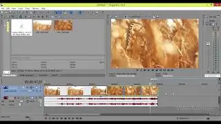 Монтаж и сохранение видео в Sony Vegas