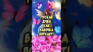 Очень Красивое поздравление с началом лета🦋