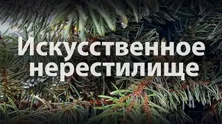 Искусственные нерестилища | Первый опыт установки