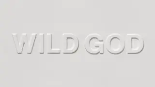 Nick Cave & The Bad Seeds - Wild God (Full Album Stream)