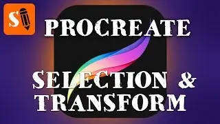 Procreate Video Manual - Selection Tool and Transform Tool