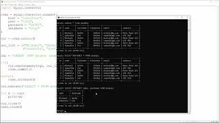 Python & MySQL - 11 - INSERT Multiple Rows - executemany()