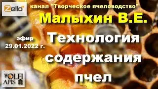 29.01.22 г. Z-рация, канал 