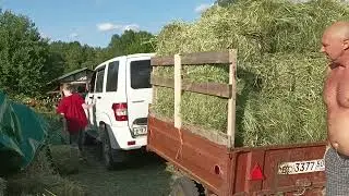 УБРАТЬ СЕНО🌿🌤️ ДО ДОЖДЯ⛈️🐎НА ПОГРУЗКУ ВЫШЛИ ДАЖЕ СОБАКИ