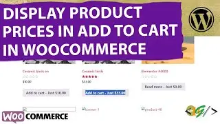 How to Display Product Price on Add to Cart Button in WooCommerce WordPress