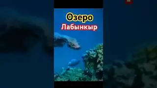 Озеро Лабынкыр!! Кто обитает в его глубинах? СМОТРИТЕ ПОЛНОЕ ВИДЕО! #якутия