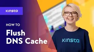 How to Flush DNS Cache (Windows, Mac, Chrome)