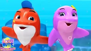 Peek A Boo Baby Shark Song, Cartoon Video by Kids Tv  Baby Shark