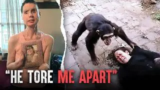The Deadliest Ape Attacks: The Charla Nash Tragedy