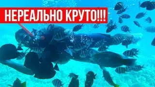 Египет. Я такого не ожидал! Огромный батискаф в Хургаде. Красное море