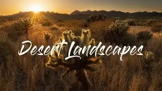 Landscape Photography | Desert Compositions