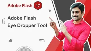 Adobe Flash Eye Dropper Tool - Adobe Flash Tutorial 17