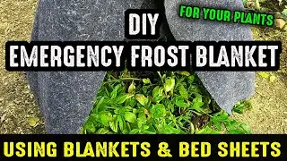 A Quick Emergency Frost Blanket For Your Plants Using Blankets & Bed Sheets You Already Have On Hand