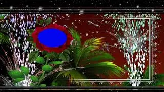 Wedding Frame Green Background Video Effects HD || Chroma Key with Green Screen