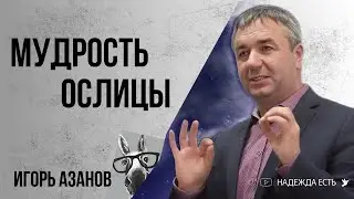 Азанов Игорь | Мудрость Ослицы | Проповедь