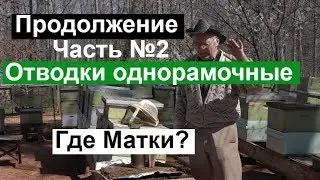 Пасека 