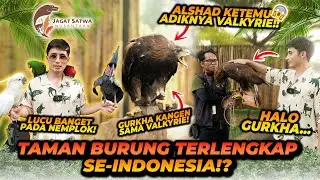 TAMAN BURUNG TERLENGKAP DI INDONESIA ?! ADA ADIKNYA VALKYRIE SI ELANG EMAS DISINI !