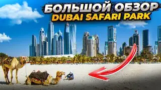 ДУБАЙ САФАРИ ПАРК // ОТДЫХ В ДУБАЕ 2023 