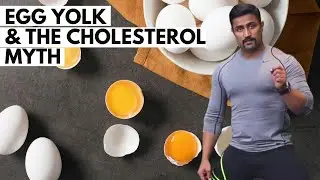 EGG YOLK & THE CHOLESTEROL MYTH